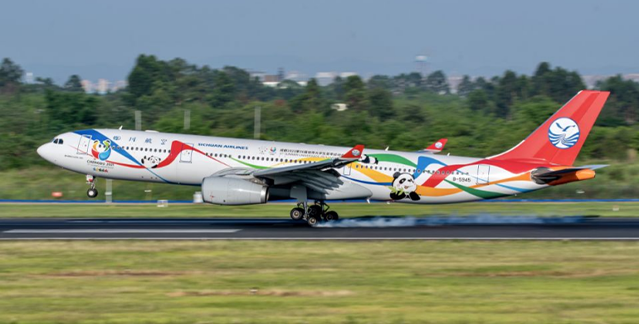 四周年成绩单揭晓！“神鸟”托起了怎样的产业格局？